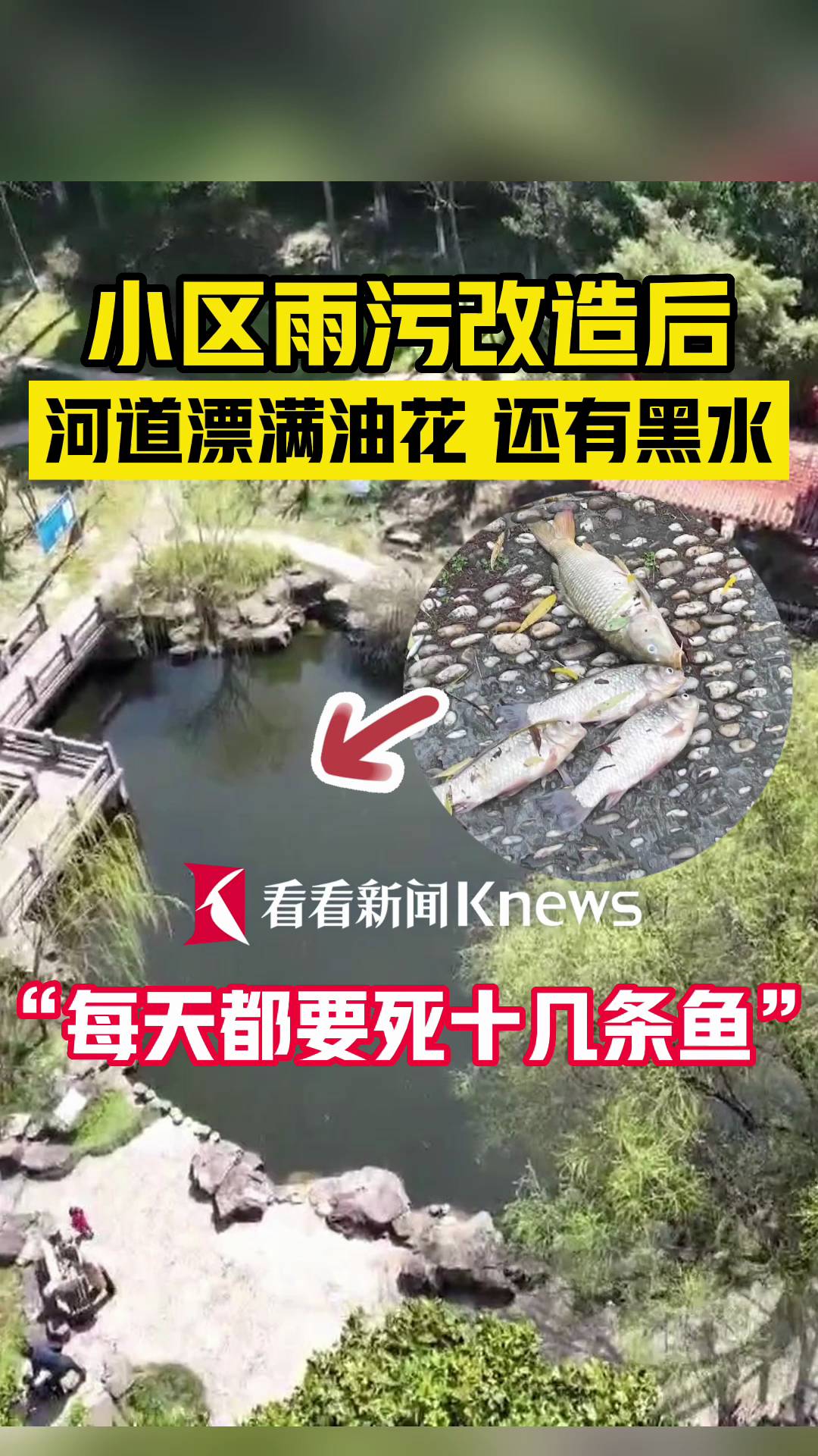 ۽Ϻ֖|һС^(q)۸ӵƯMͻ߀кˮf(shu)ÿ춼Ҫʮחl~Ⱦ